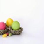nest egg