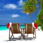 News Knight xmas e1764828815120